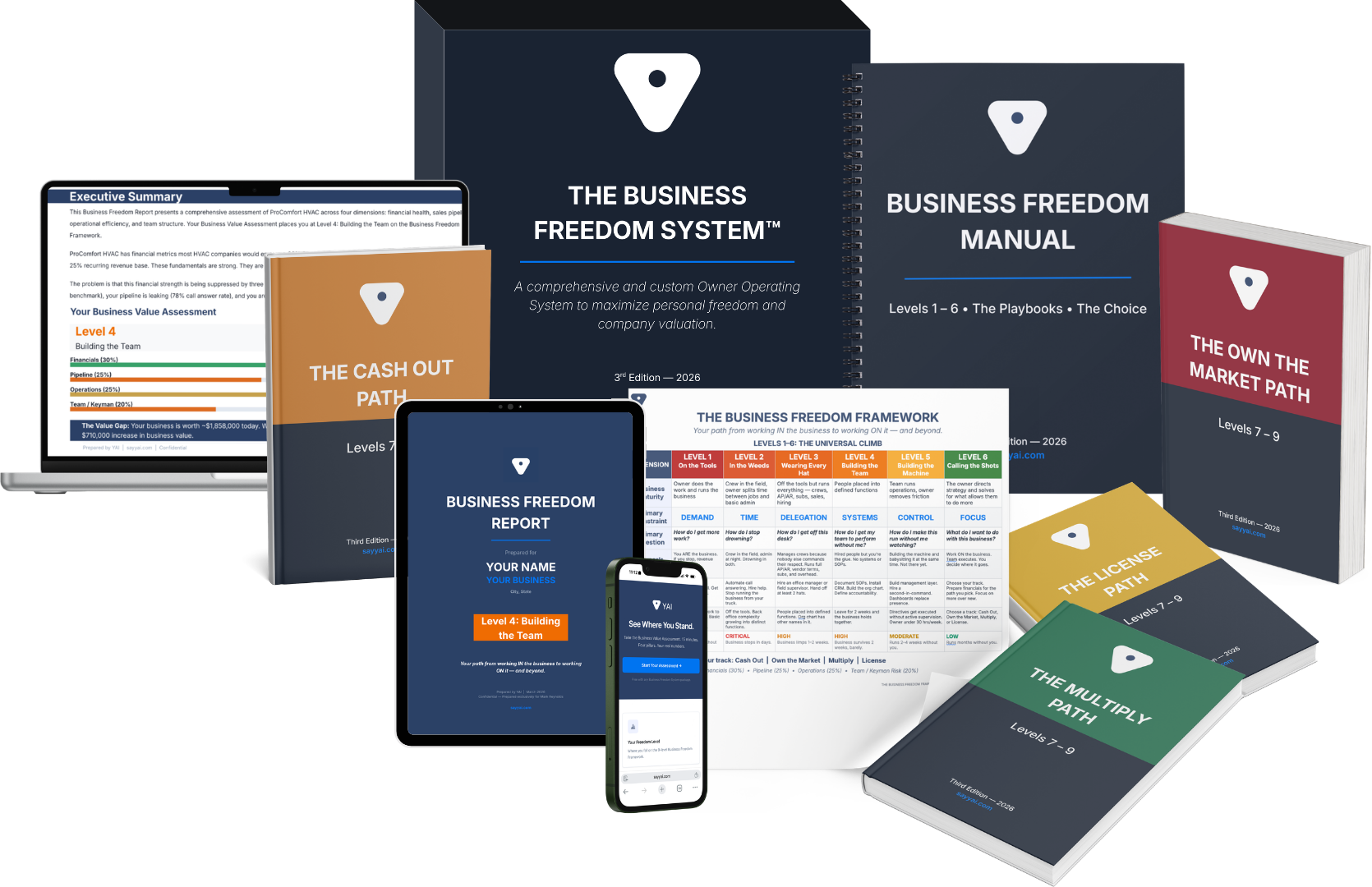 Business Freedom System bundle with report, manual, and path manual.